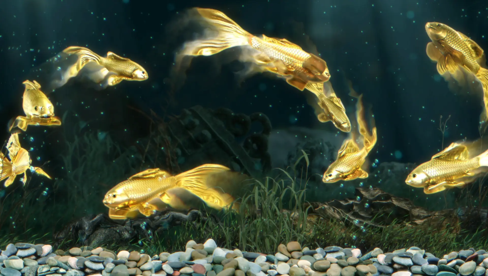 Golden Koi